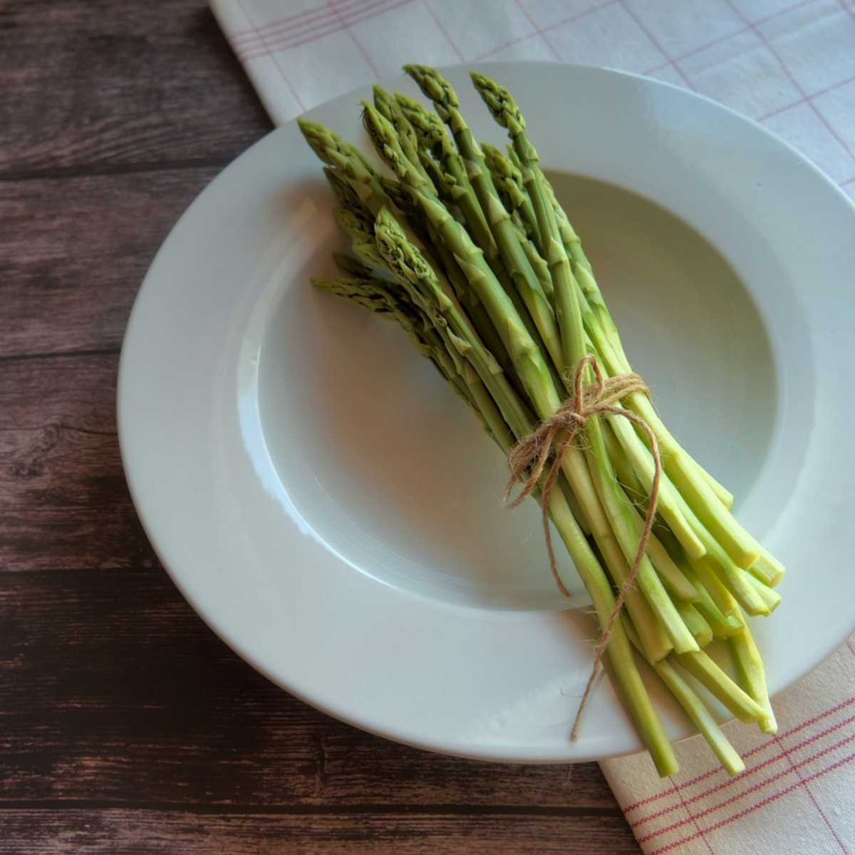 Fern - 4 pcs. - Asparagus 'Gijnlim' - Root balls - Green