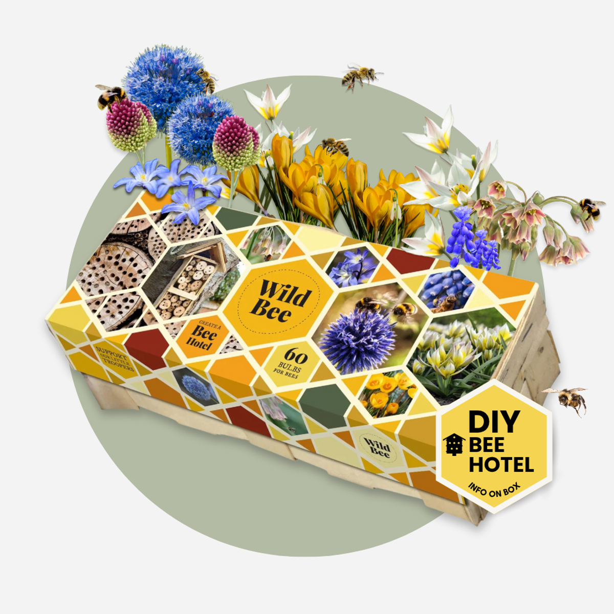 Wild Bee Hotel Box - 60 bulbs - Bee hotel building guide - Hardy for winter