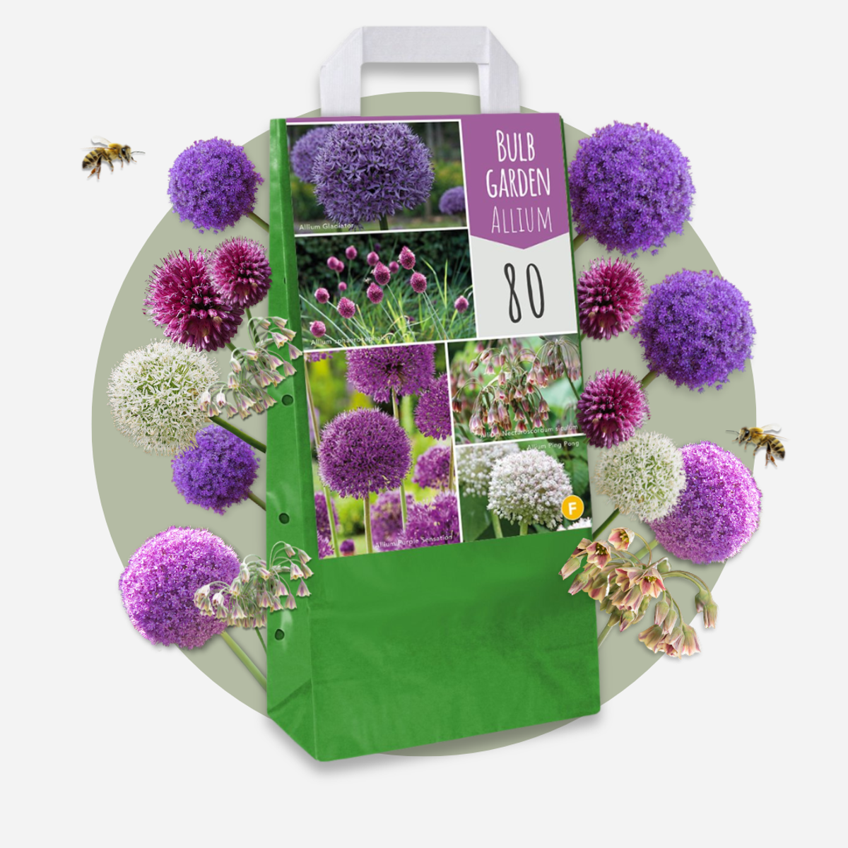 Mélange de bulbes Ail - Set de 160 - Allium - Bulbes à fleurs - TD Plantz
