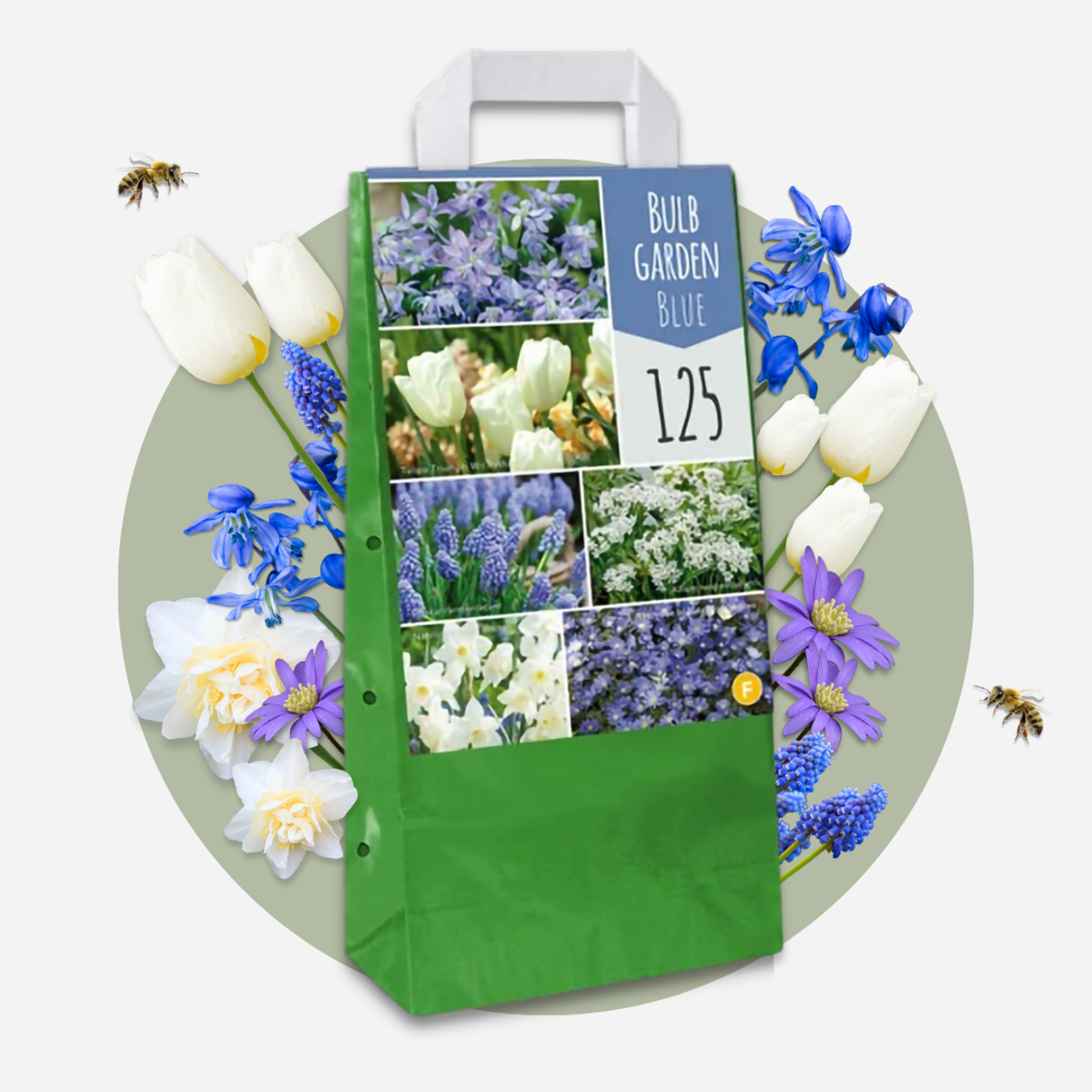 Bulb Garden NJ Blue - 125 pcs. - Flower Bulbs - Blue