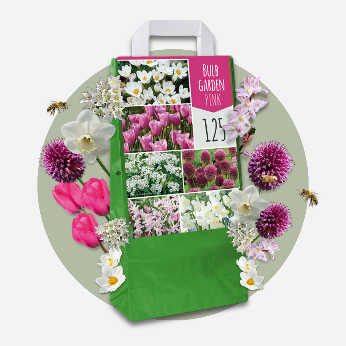 Mélange de bulbes pour le jardin - Set de 250 - Allium Narcissus Muscari, Tulipa