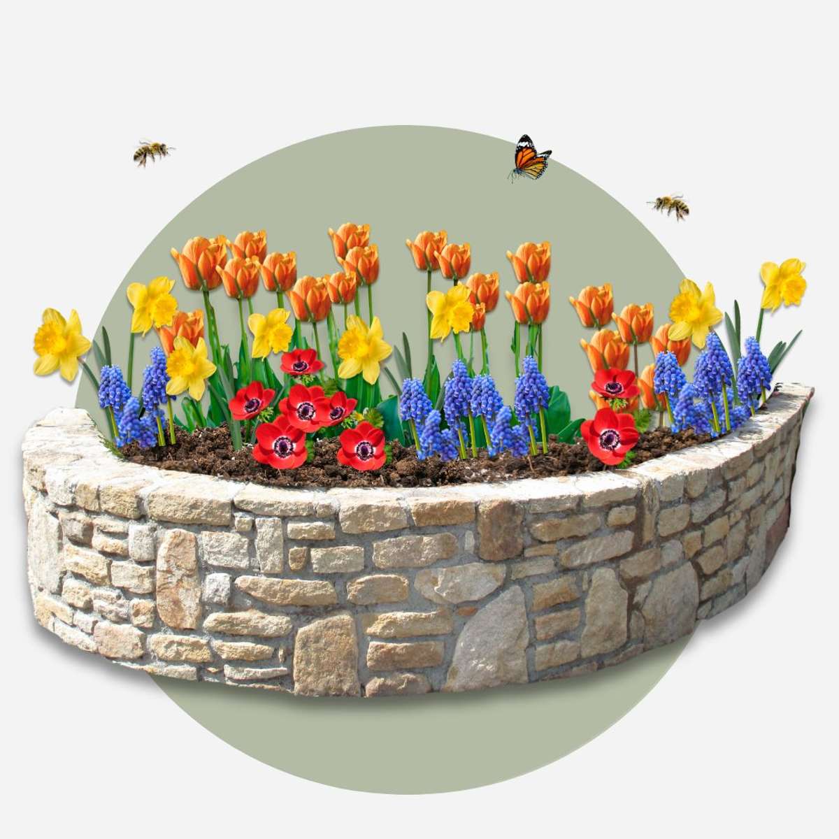 Bulb Garden Colourful - 125 pcs. - Flower Bulbs