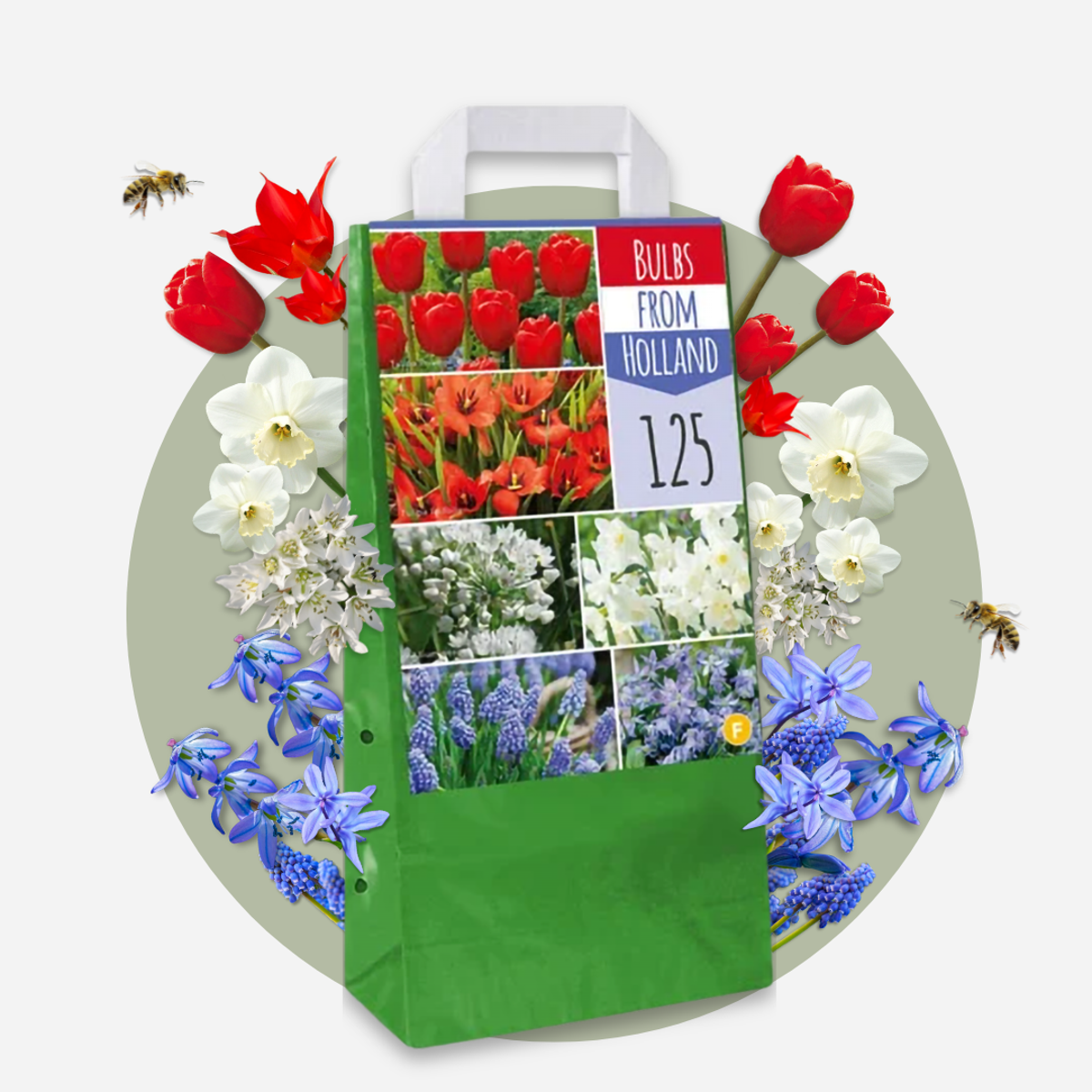 Bulbs From Holland - 250 pcs. - Flower Bulbs