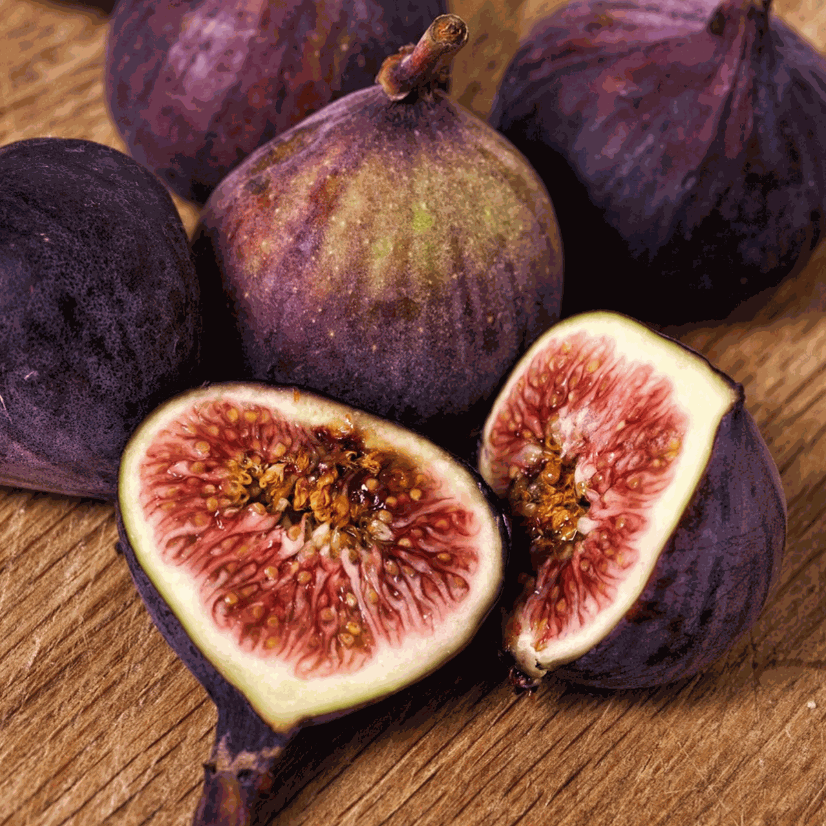 Figuier de Barbarie - Ficus Carica - Hauteur 70-90cm - ⌀21cm