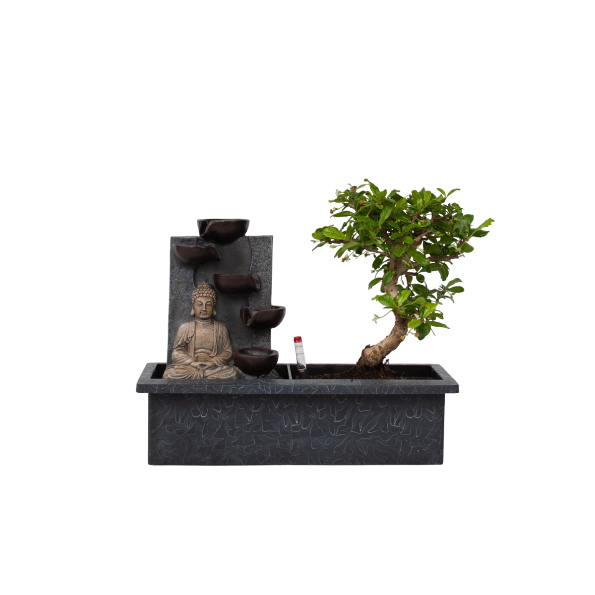 Waterval Buddha - Bonsai - Height 25-35cm - ⌀29cm