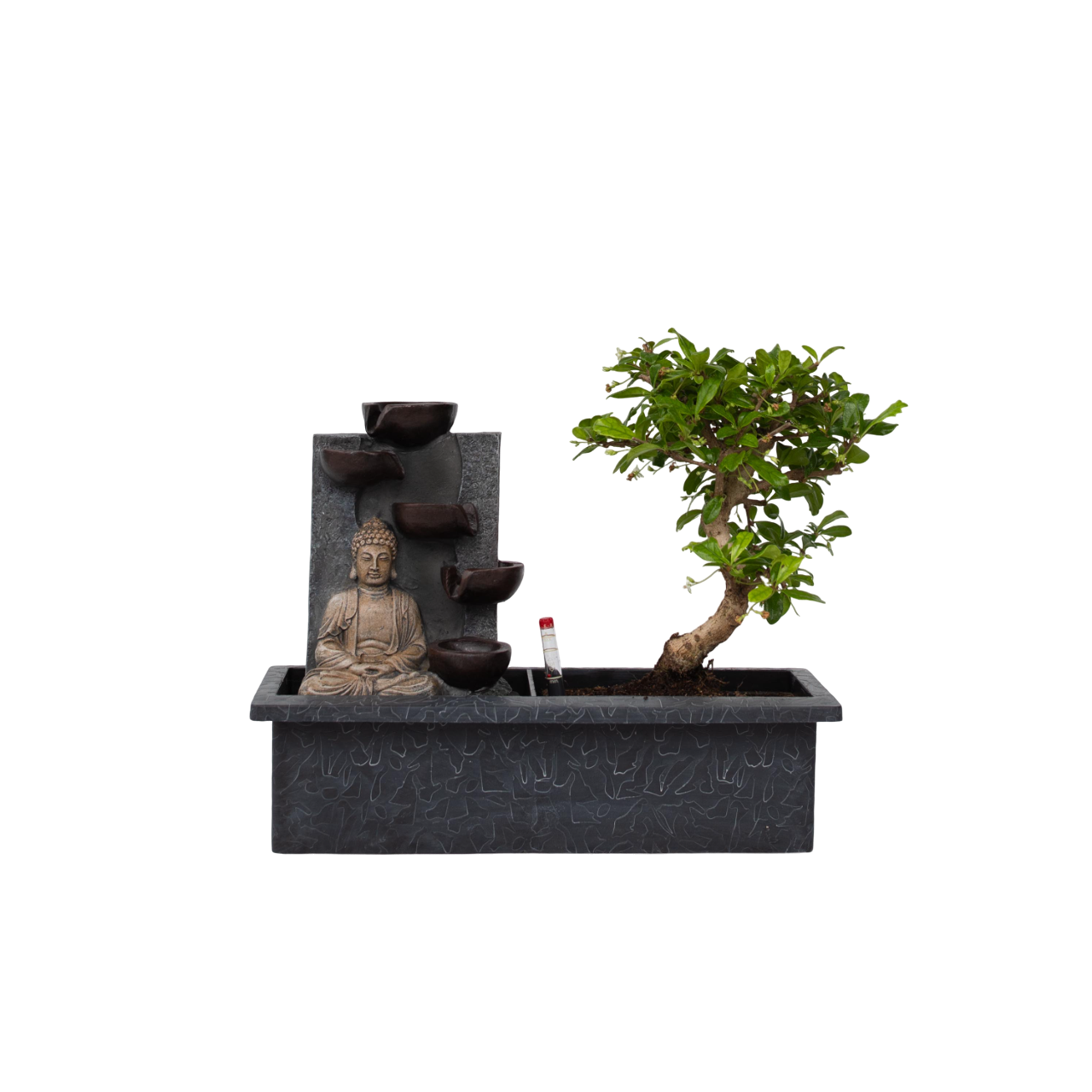 Waterval Buddha - Bonsai - Height 25-35cm - ⌀29cm