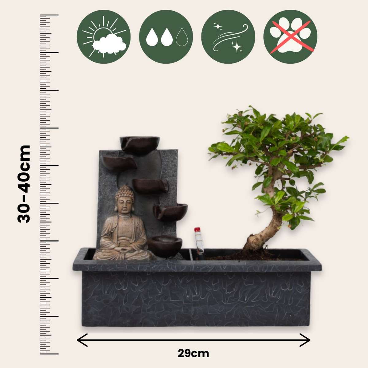 Bonsaï - Bonsai - Hauteur 25-35cm - ⌀29cm