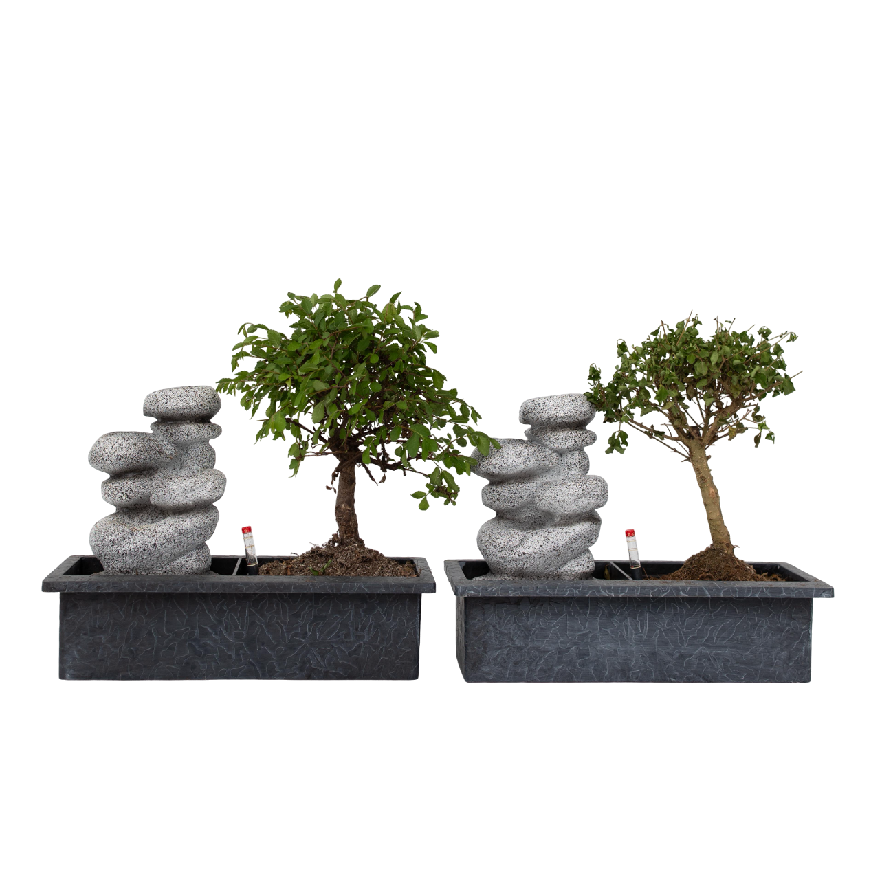 Waterval Stones - 2 pcs. - Bonsai - Height 25-35cm - ⌀29cm