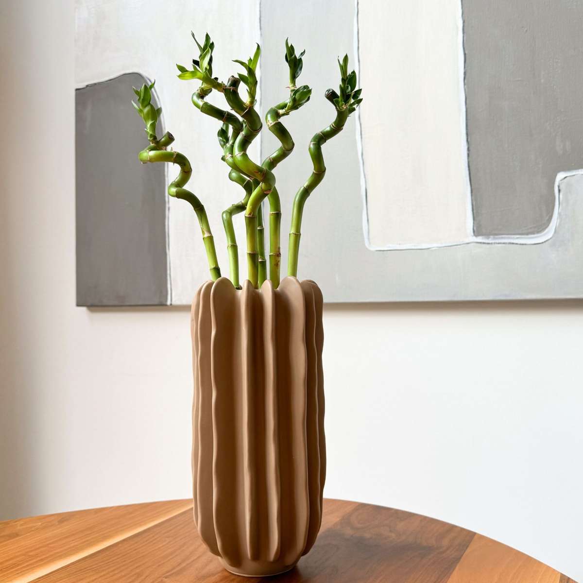 Lucky Bamboo - Set de 12 - Dracaena sanderiana - Hauteur 40-50cm - ⌀2cm