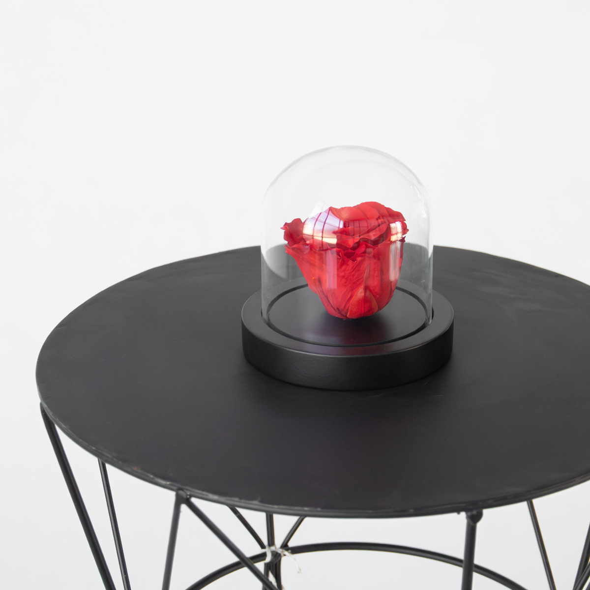 Rose rouge préservée sous cloche en verre - Véritable rose - Cadeau de luxe