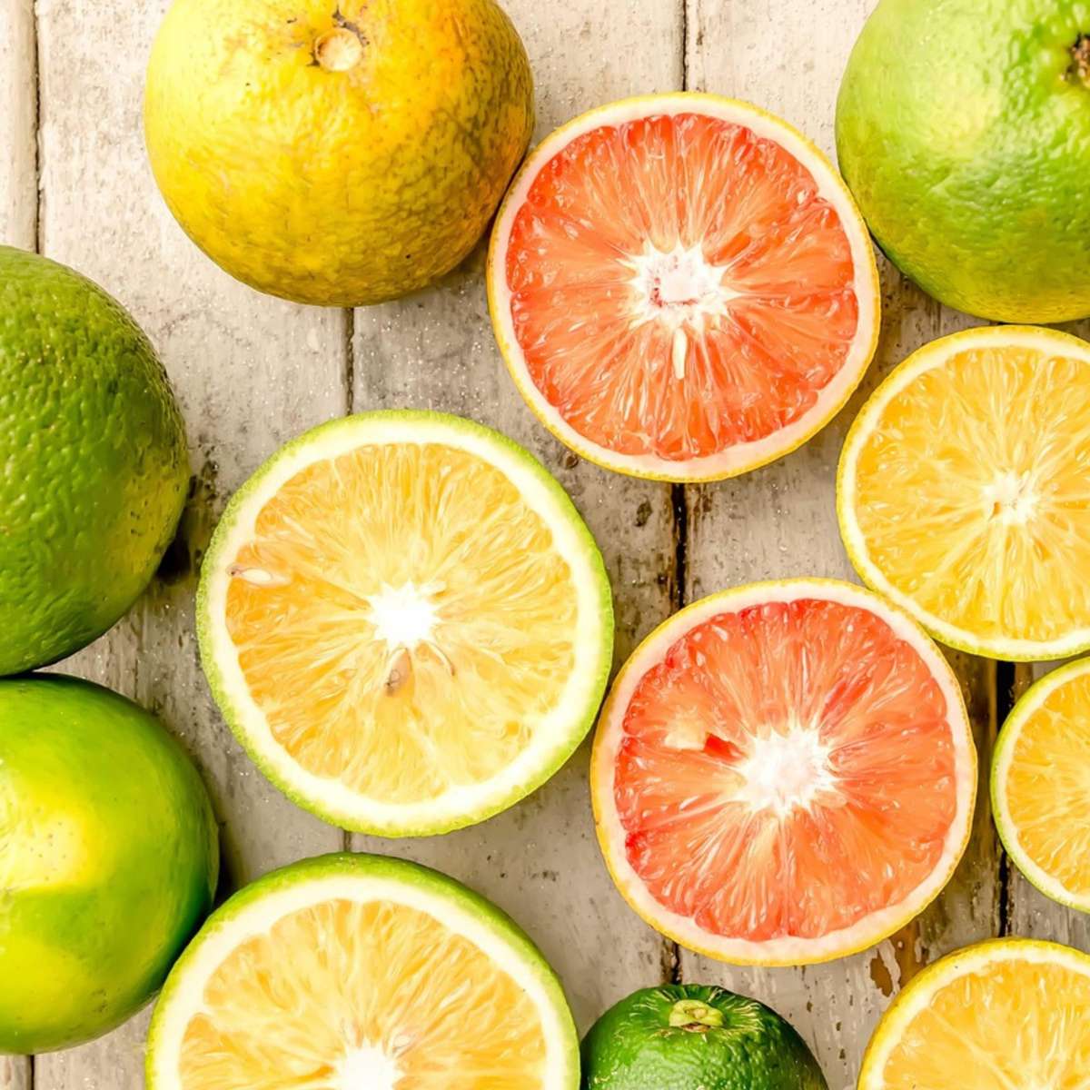 Citrus Mix - 6 pcs. - Citrus limon - Height 25-40cm - ⌀9cm