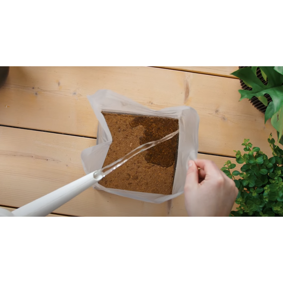 Pokon terreau Compact - Terreau de coco - Intérieur et extérieur - 50 litres