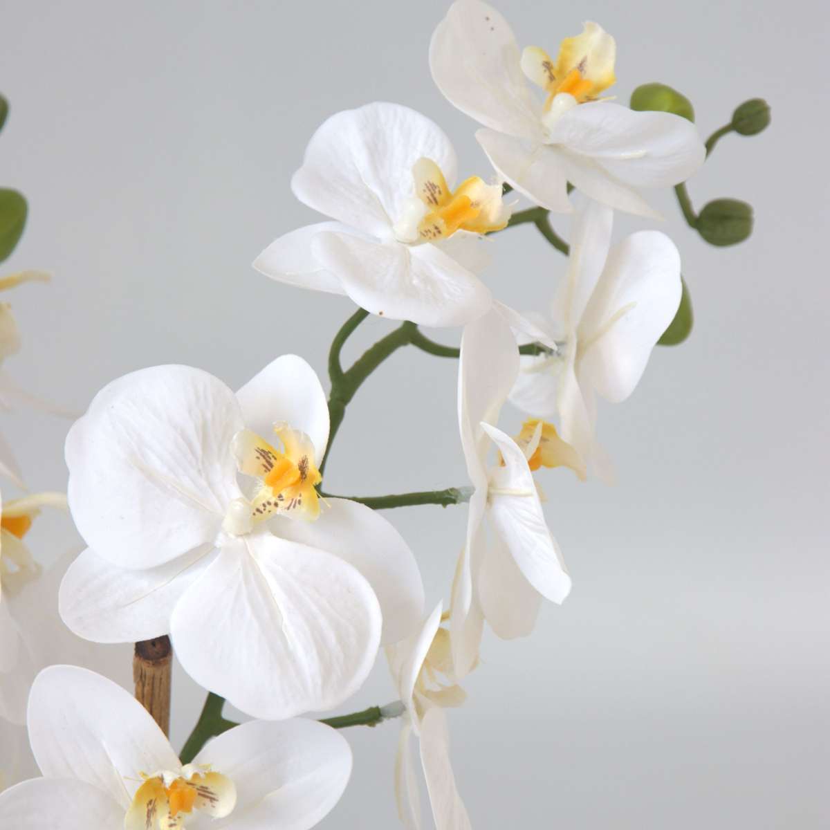 Orchidée Phalaenopsis artificielle - Hauteur 55cm