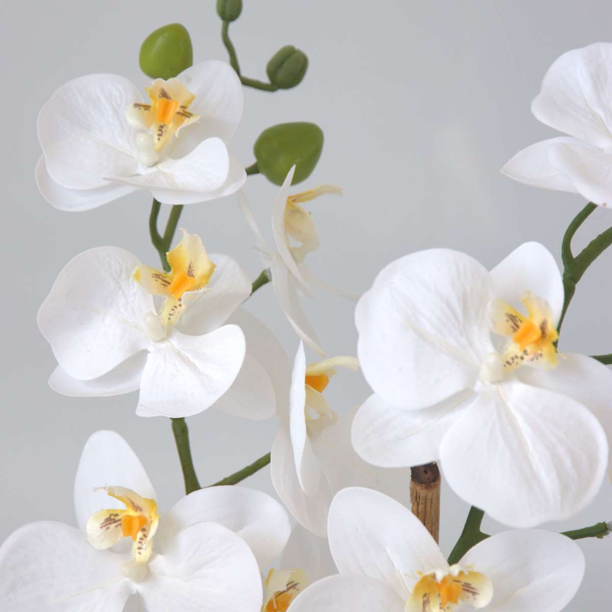Orchidée Phalaenopsis artificielle - Hauteur 55cm