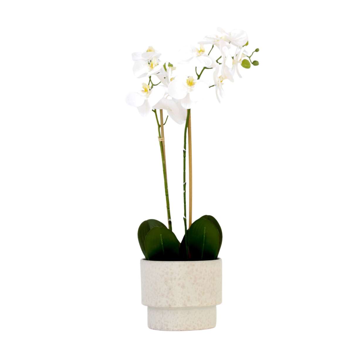 Orchidée Phalaenopsis artificielle - Hauteur 55cm