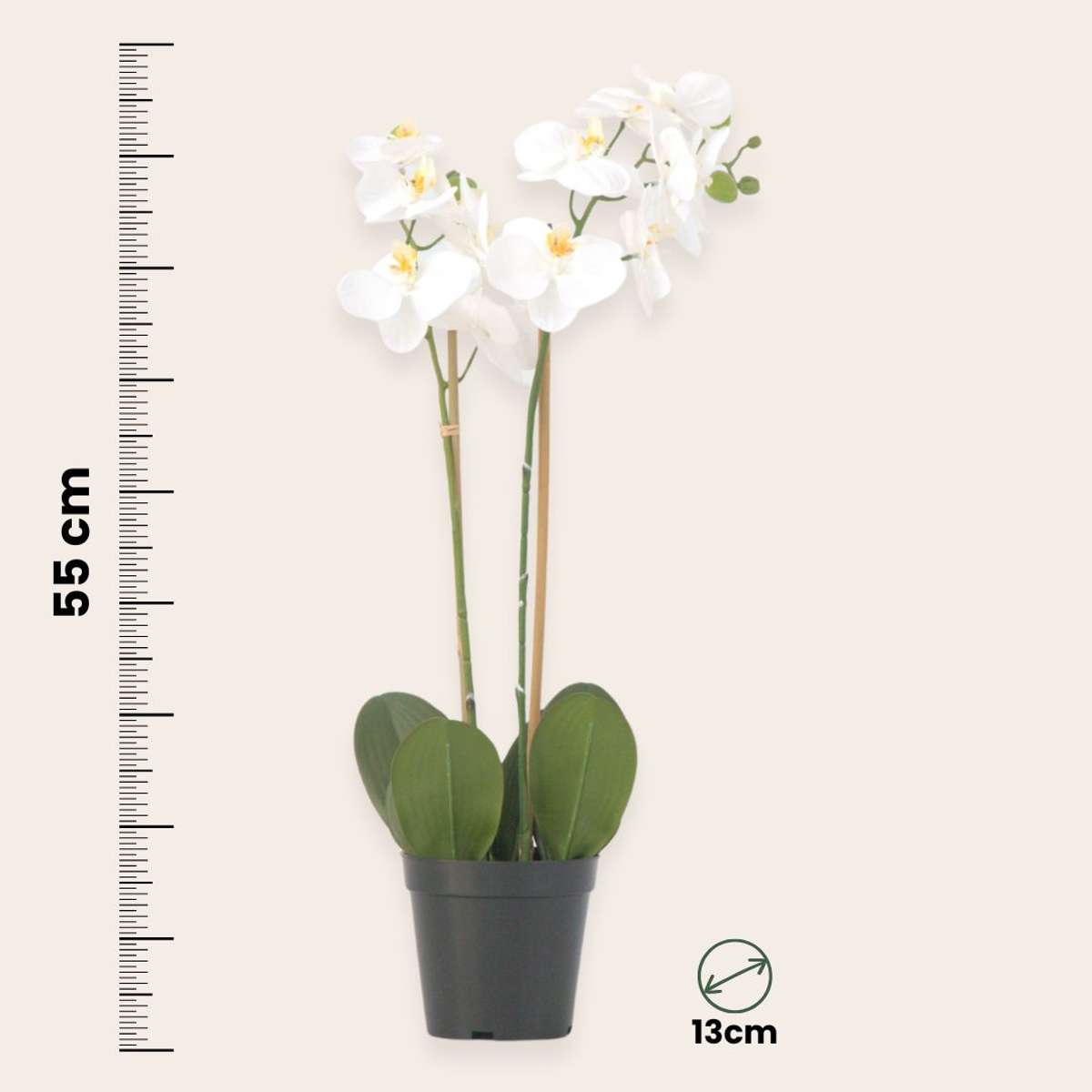 Orchidée Phalaenopsis artificielle - Hauteur 55cm