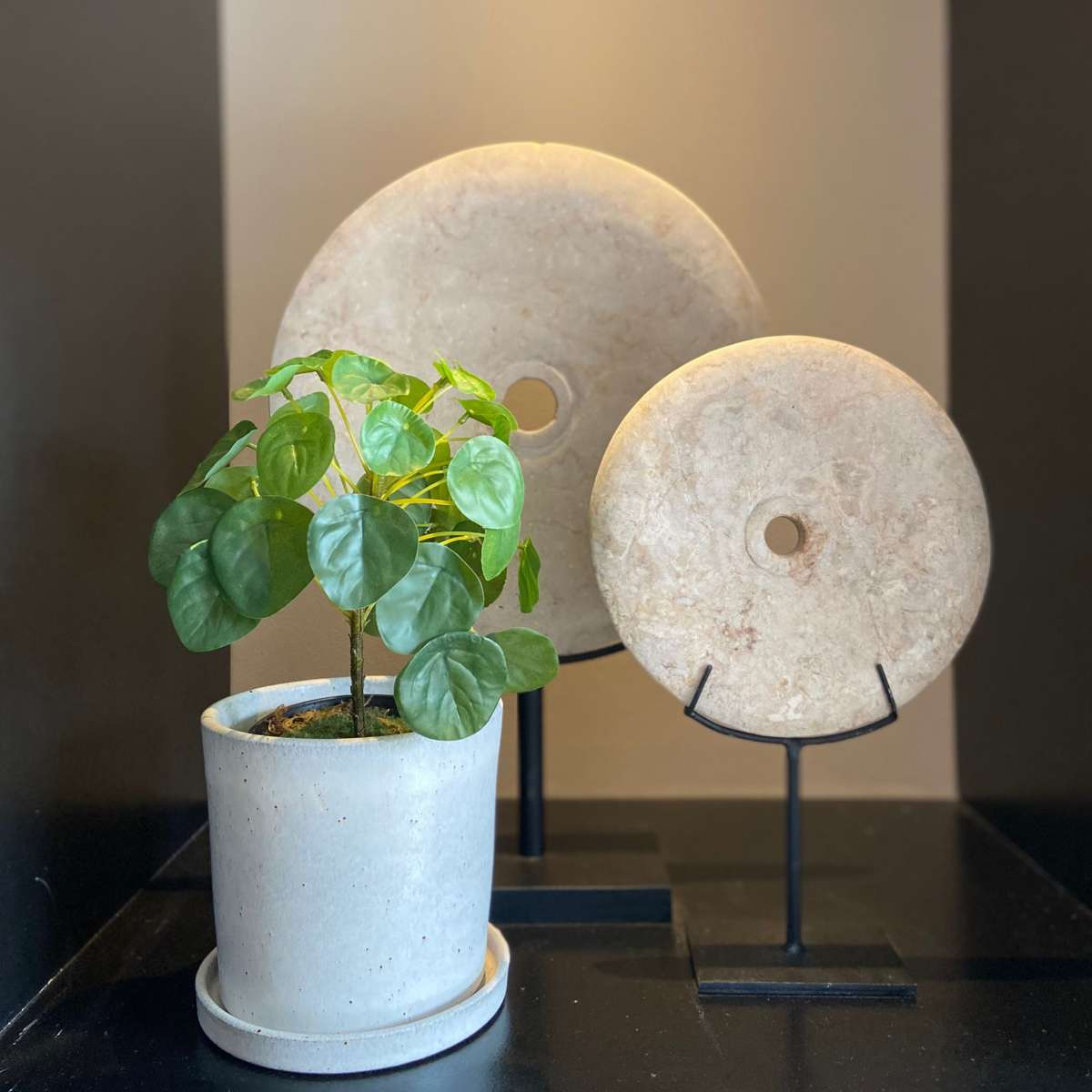 Pilea Peperomioides artificiel - Hauteur 30cm