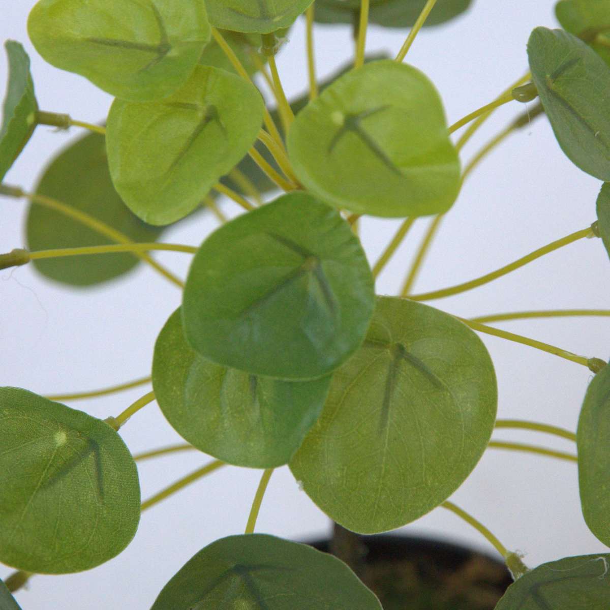 Pilea Peperomioides artificiel - Hauteur 30cm