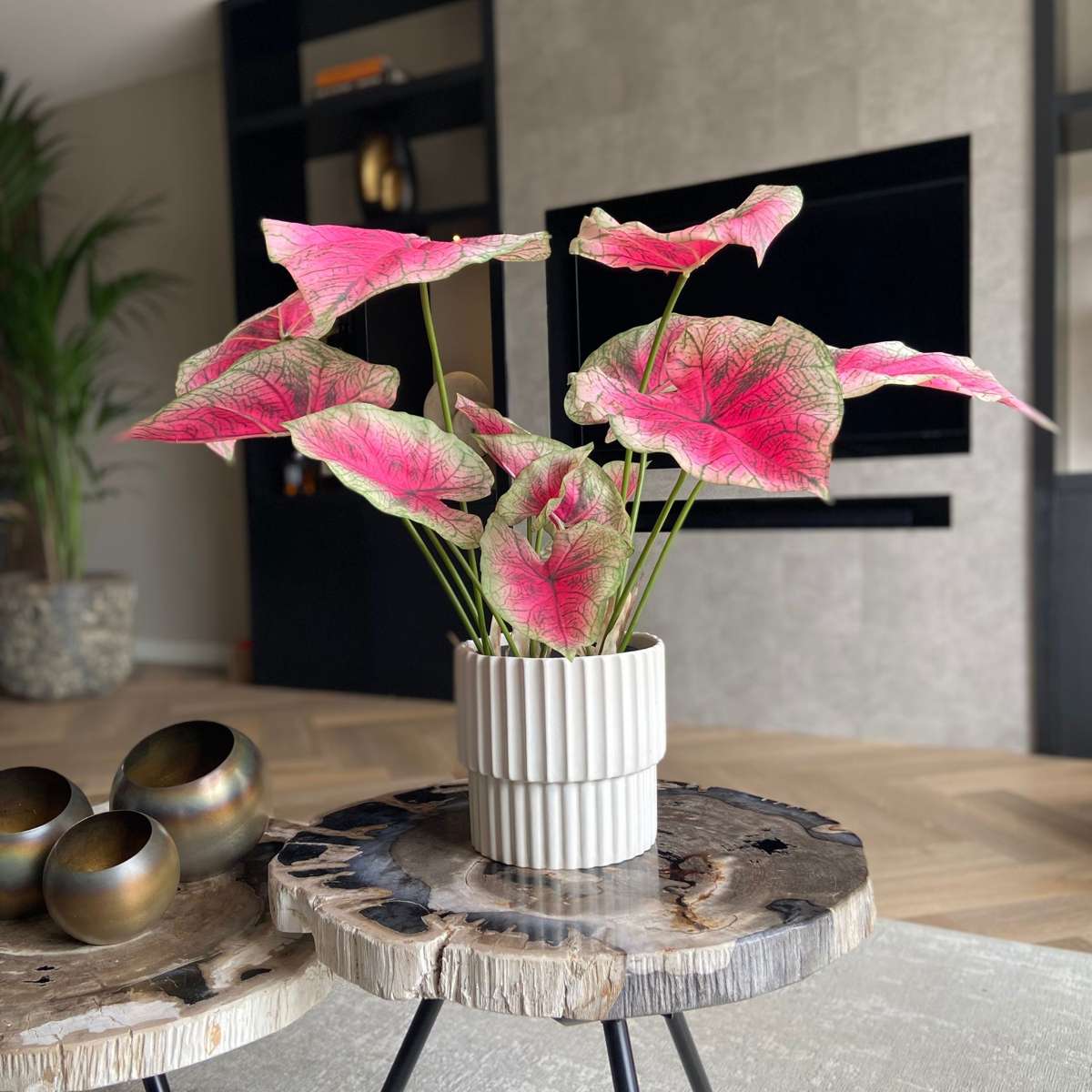 Caladium artificiel - Hauteur 60cm