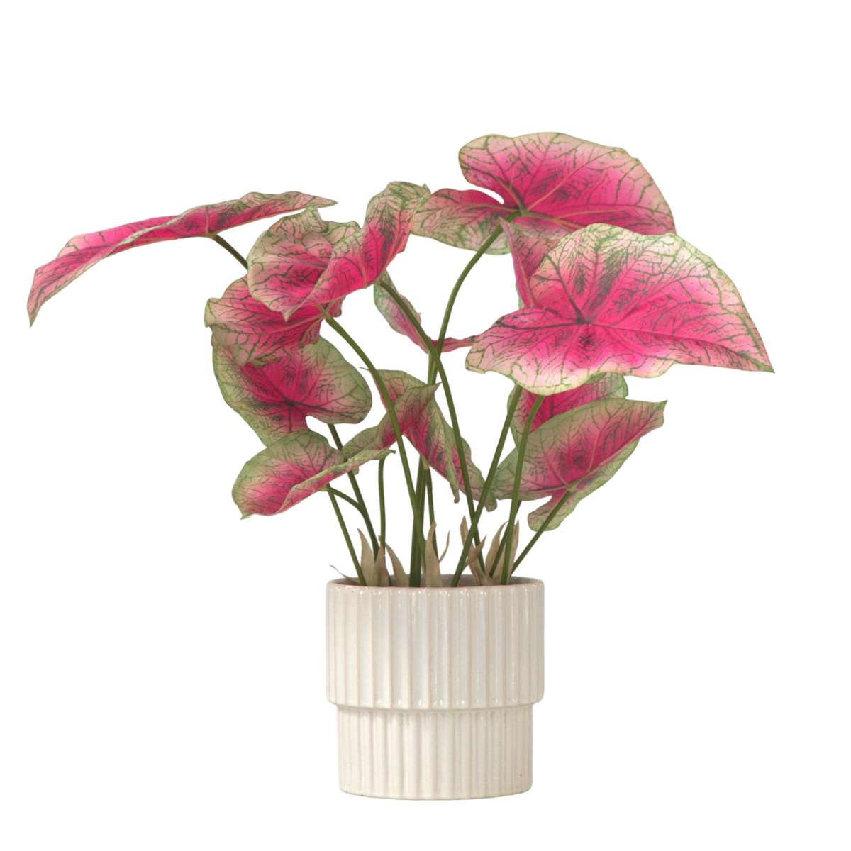 Caladium artificiel - Hauteur 60cm
