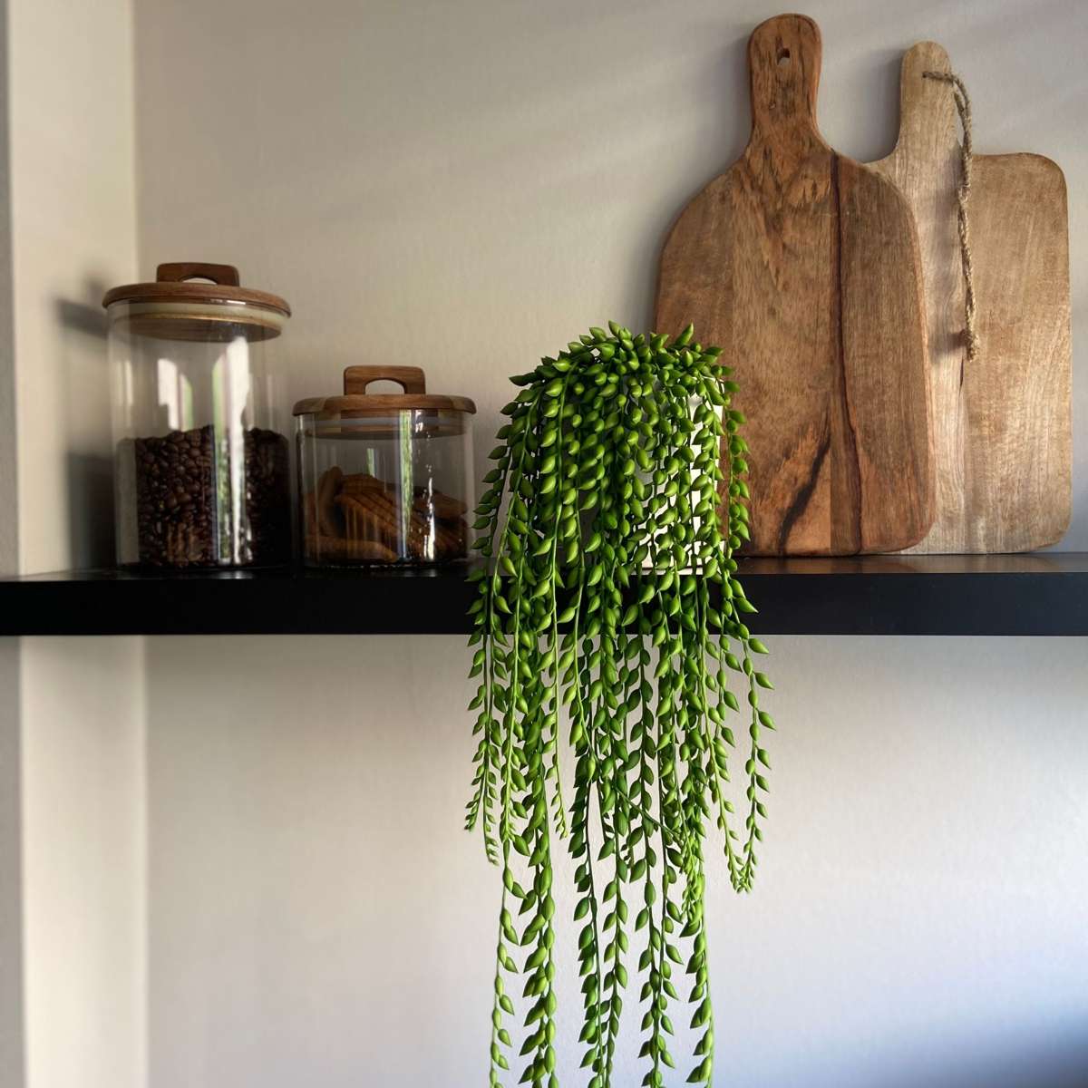 Senecio artificiel - Hauteur 90cm