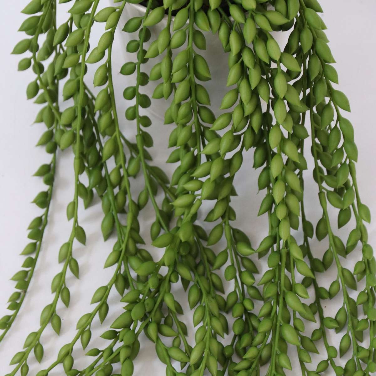 Senecio artificiel - Hauteur 90cm