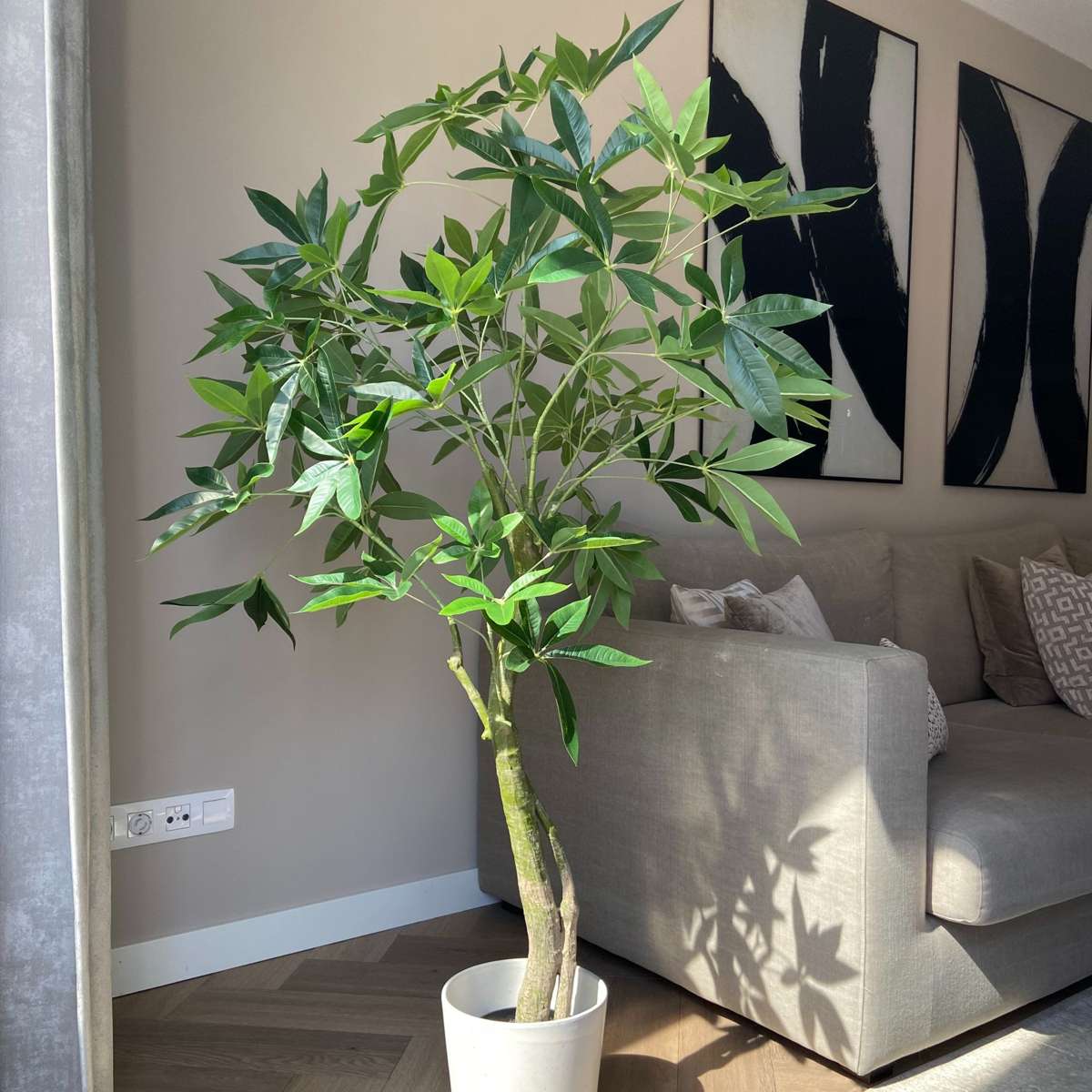 Pachira artificiel - Hauteur 120cm