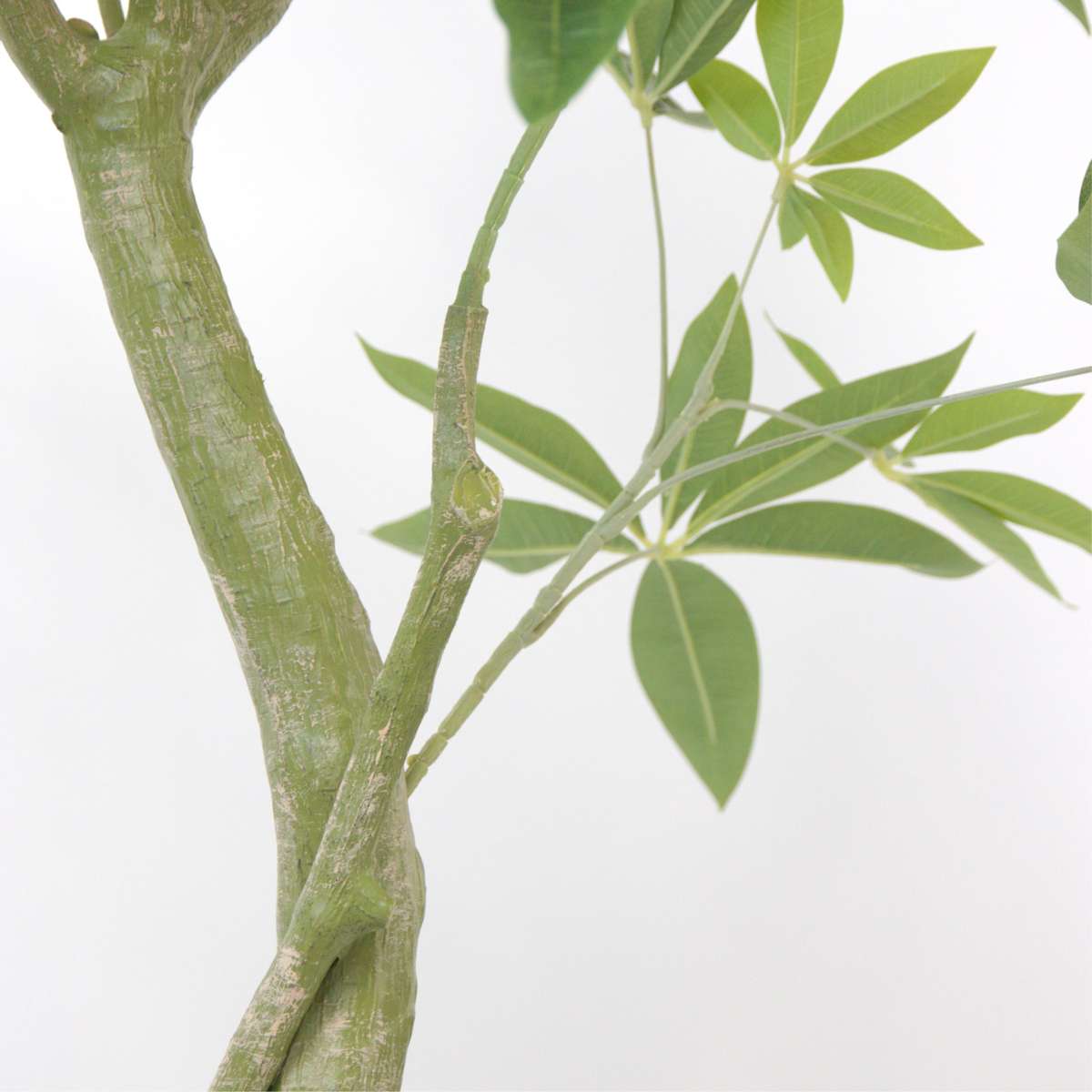 Pachira artificiel - Hauteur 120cm