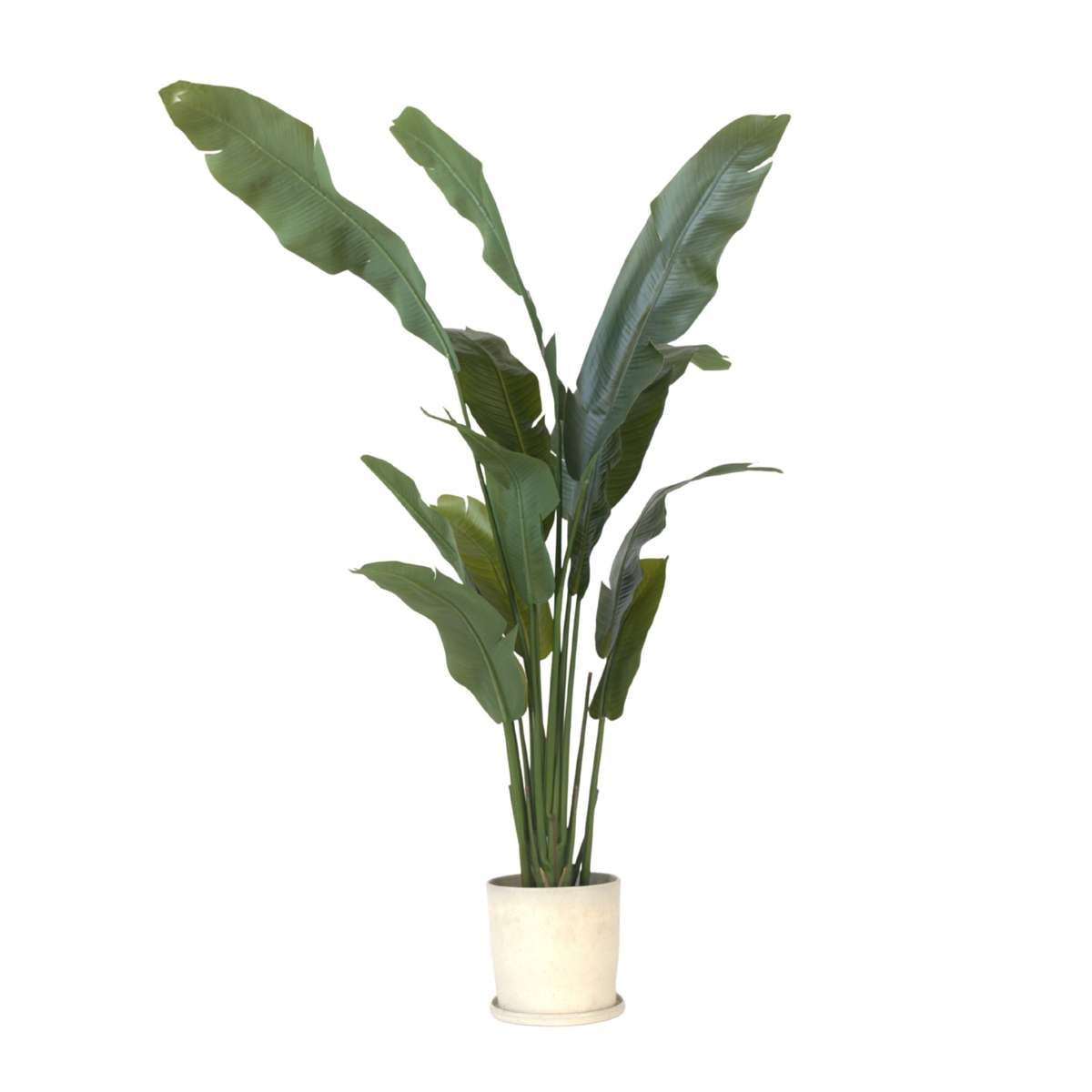Strelitzia artificiel - Hauteur 160cm
