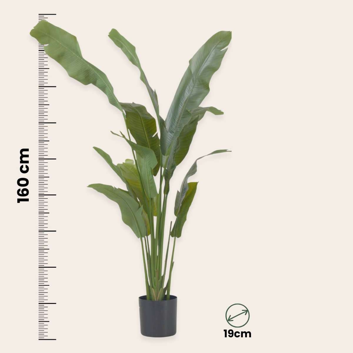 Strelitzia artificiel - Hauteur 160cm