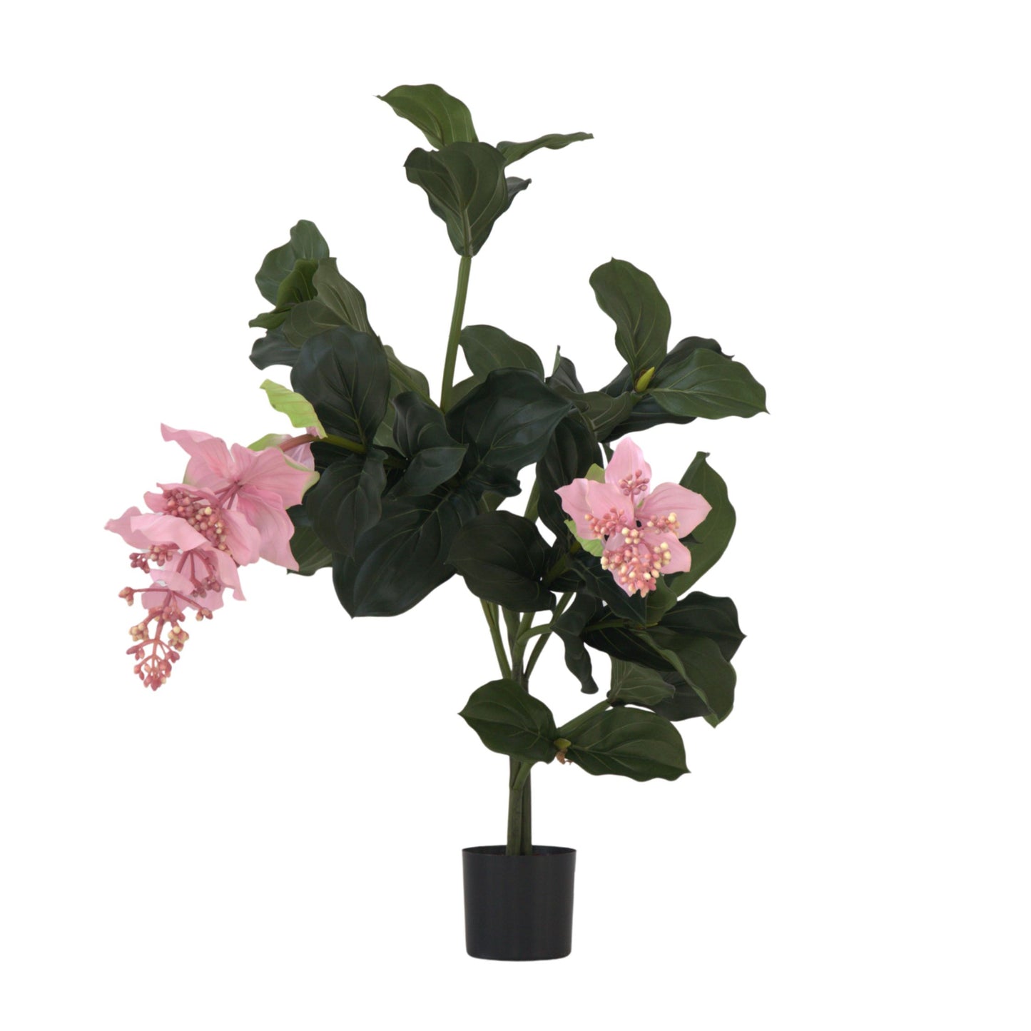 Medinilla Magnifica artificielle - Hauteur 85cm
