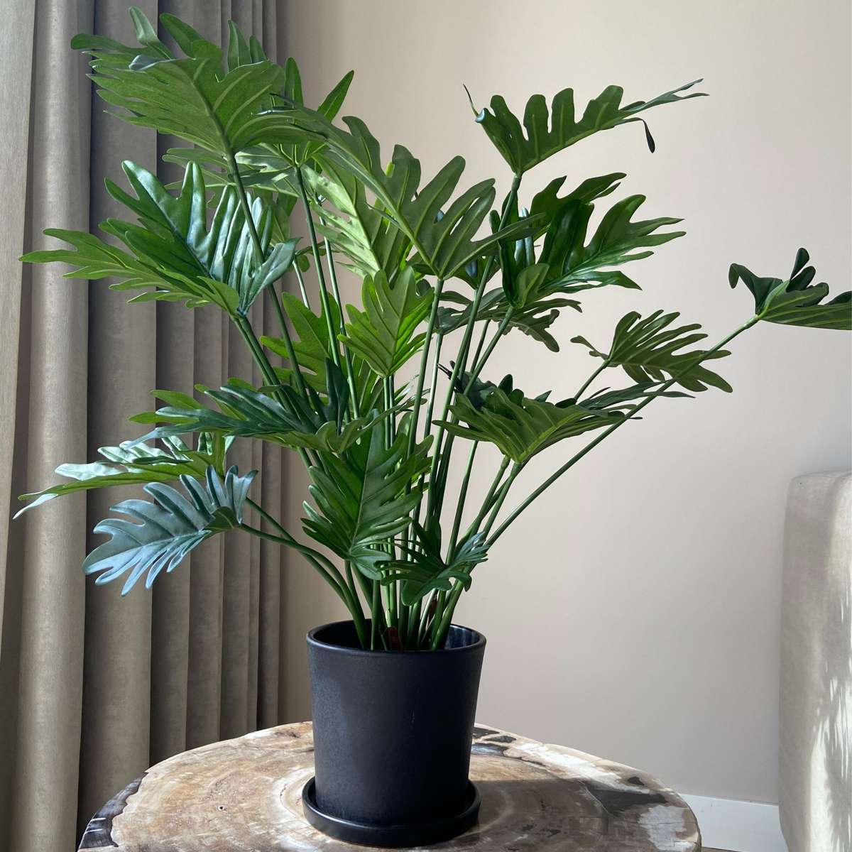 Philodendron artificiel 'Selloum' - Hauteur 65cm