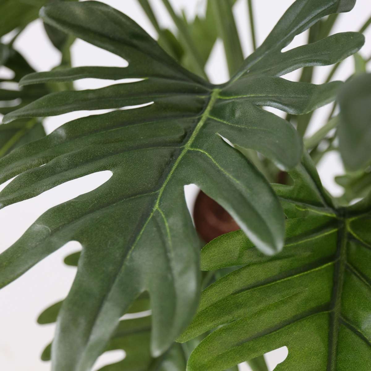 Philodendron artificiel 'Selloum' - Hauteur 65cm