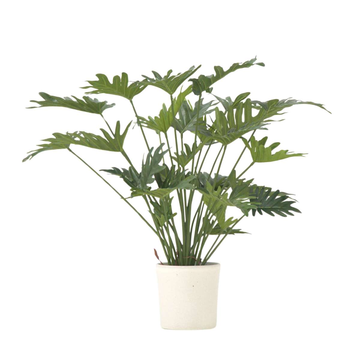 Philodendron artificiel 'Selloum' - Hauteur 65cm