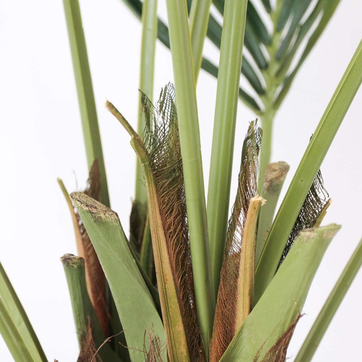 Kentia artificiel - Hauteur 150cm