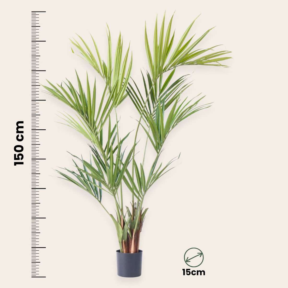 Kentia artificiel - Hauteur 150cm