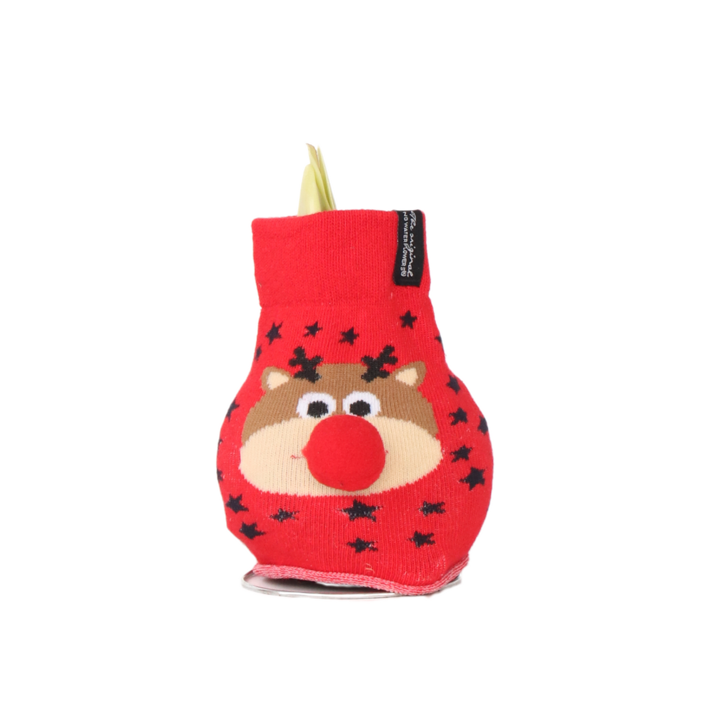 Amaryllis - Hippeastrum 'Reindeer Sweater' - Flower Bulb - Red