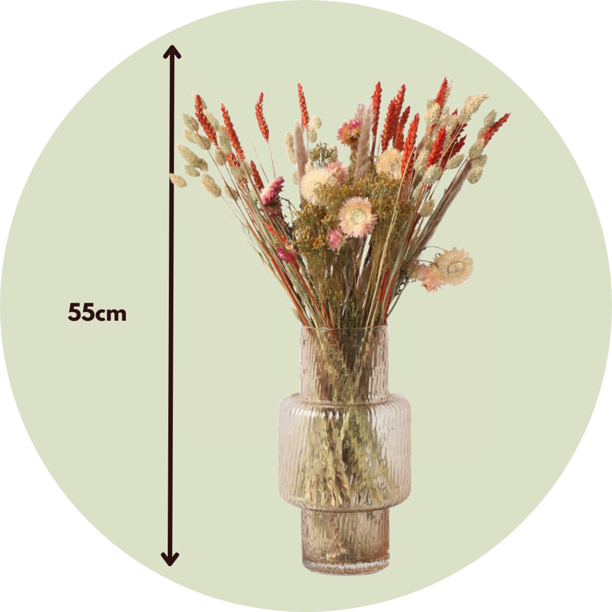 Fleurs séchées - Bouquet 'Trendy Hippy' - TD Plantz