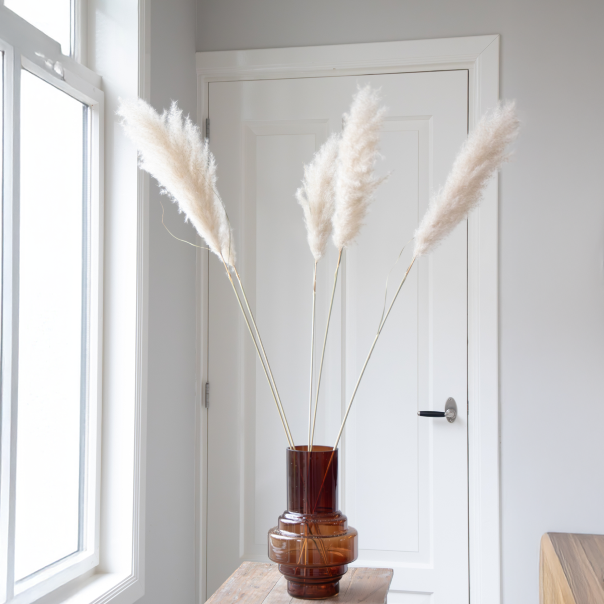 Fleurs séchées - Set de 5 - Dryflower 'Cortaderia Plum'