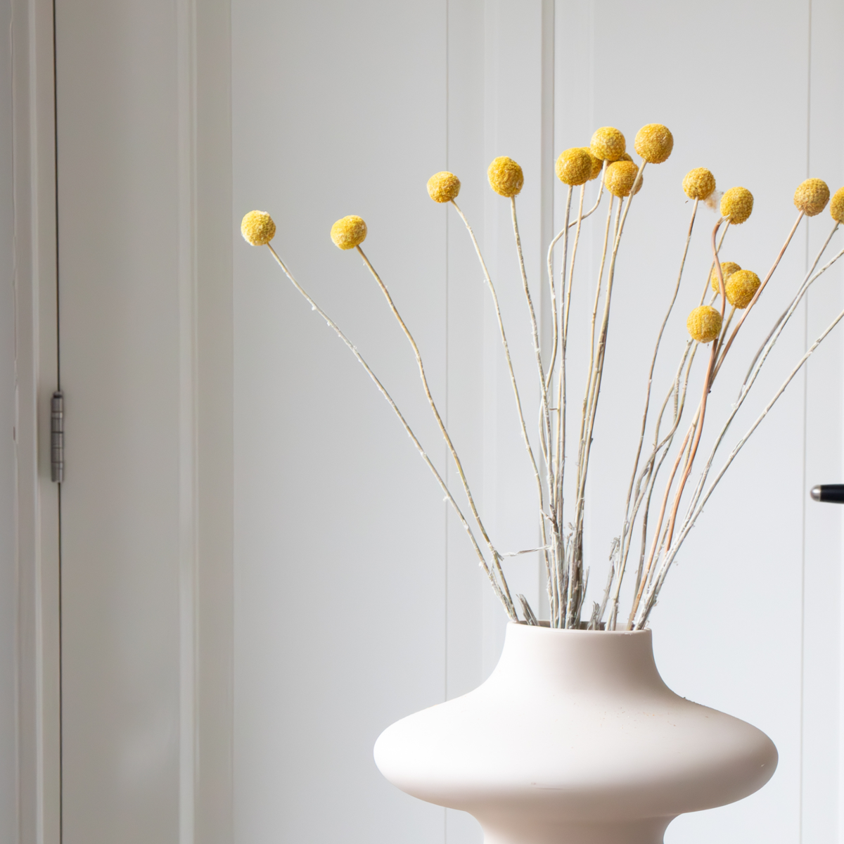 Fleurs séchées - Bouquet 'Craspedia natural yellow'