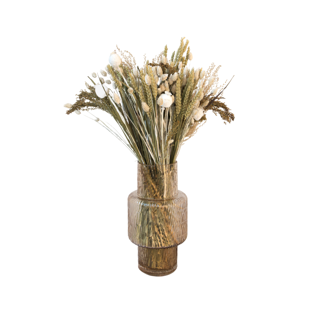 Fleurs séchées - Bouquet 'Large Bodhi'