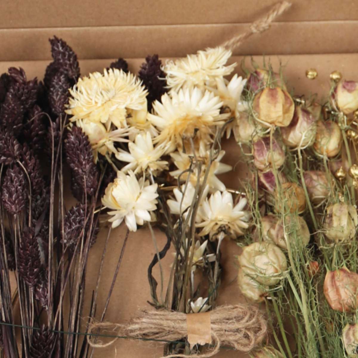 Fleurs séchées - Dryflower 'X-mas brown/gold' - TD Plantz