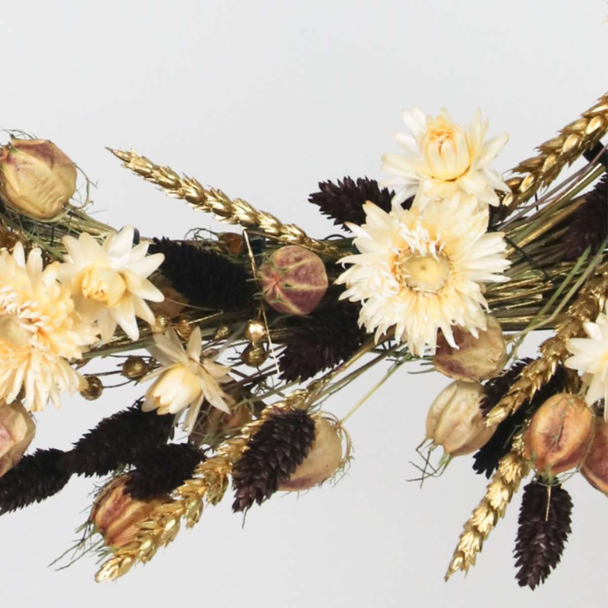 Fleurs séchées - Dryflower 'X-mas brown/gold' - TD Plantz
