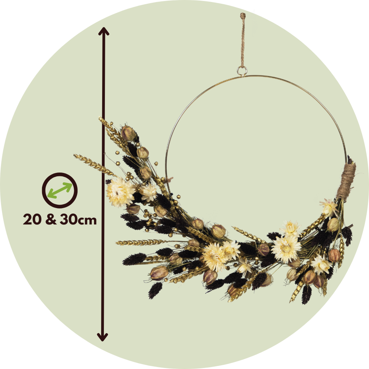 Fleurs séchées - Dryflower 'X-mas brown/gold' - TD Plantz