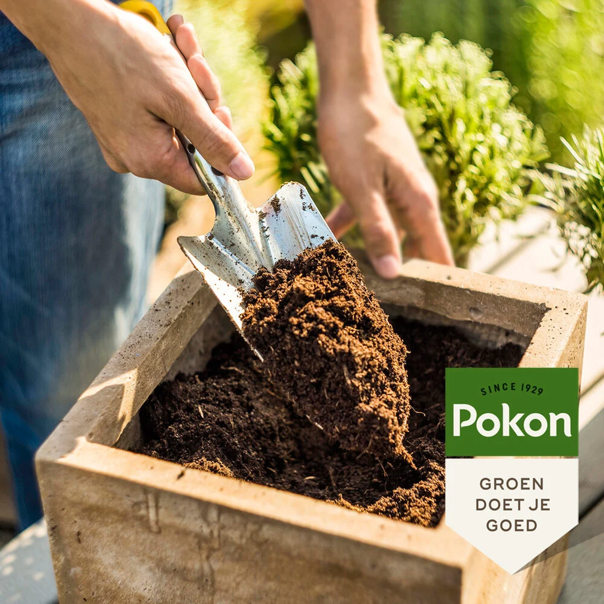 Pokon terreau Compact - Terreau de coco - Intérieur et extérieur - 50 litres