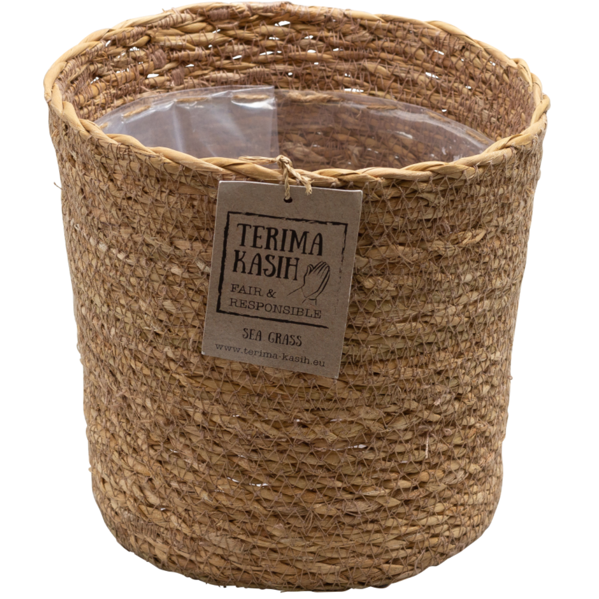 Mélange de plantes purificatrices d'air - x5 - Panier inclus - H25-40cm - ⌀12cm