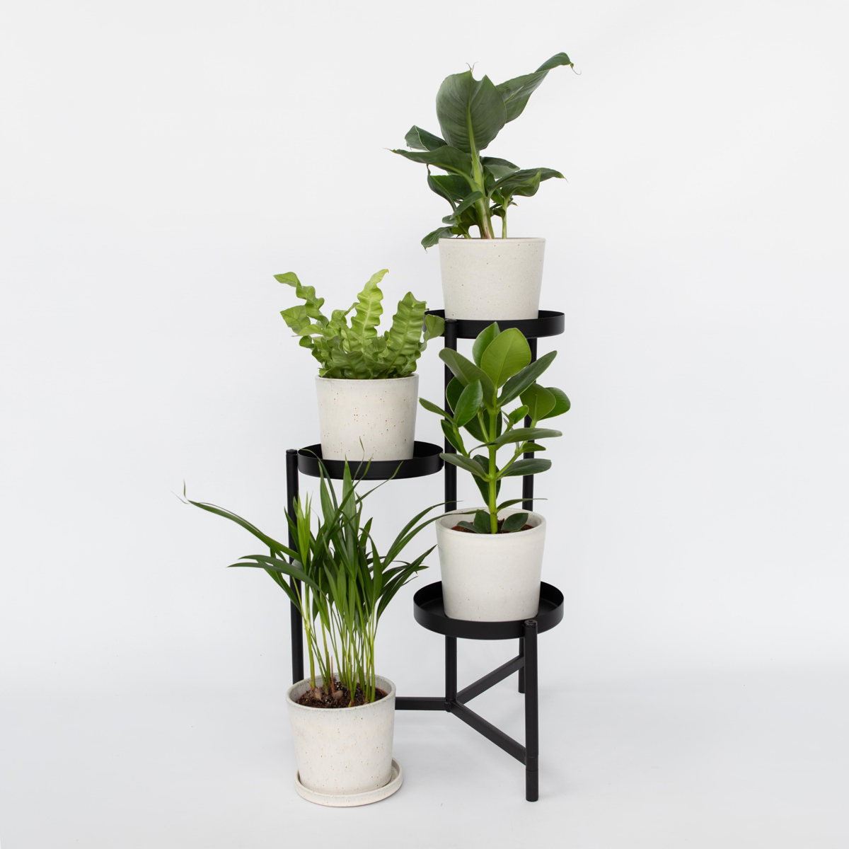 Houseplants 'Green Quartet' - 4 pcs. - Height 25-40cm - ⌀12cm