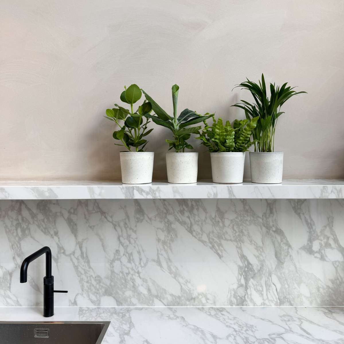 Plantes d'intérieur - Set de 4 - Areca Asplenium Clusia Musa - H25-40cm - ⌀12cm