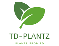 TD Plantz