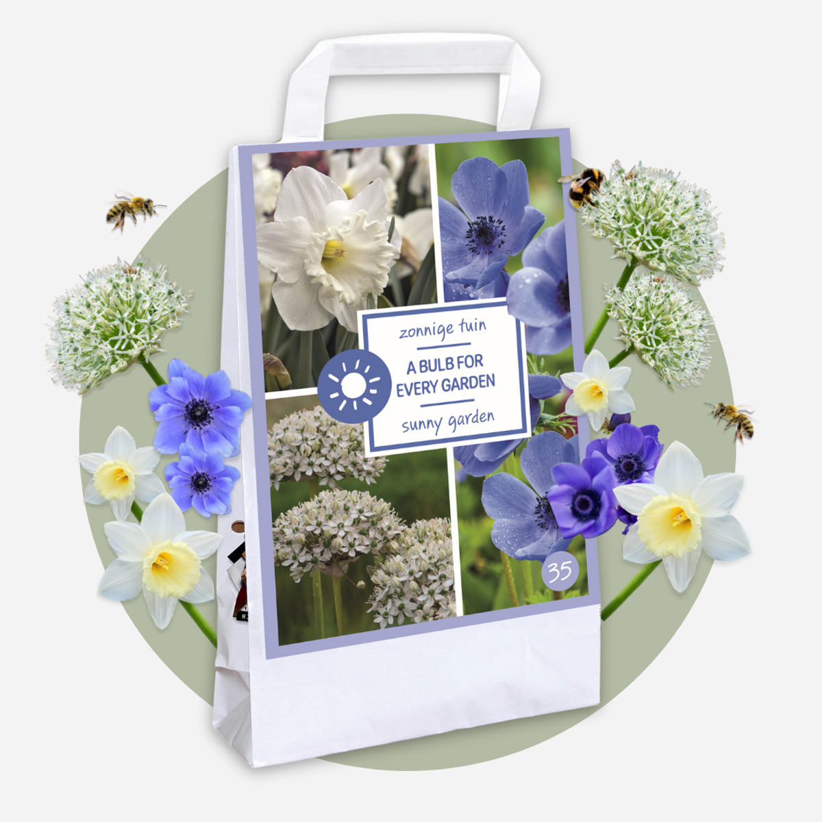 Bulbes - 35 pièces - Coffret Sunny Garden - Anémone, Allium, Narcisse